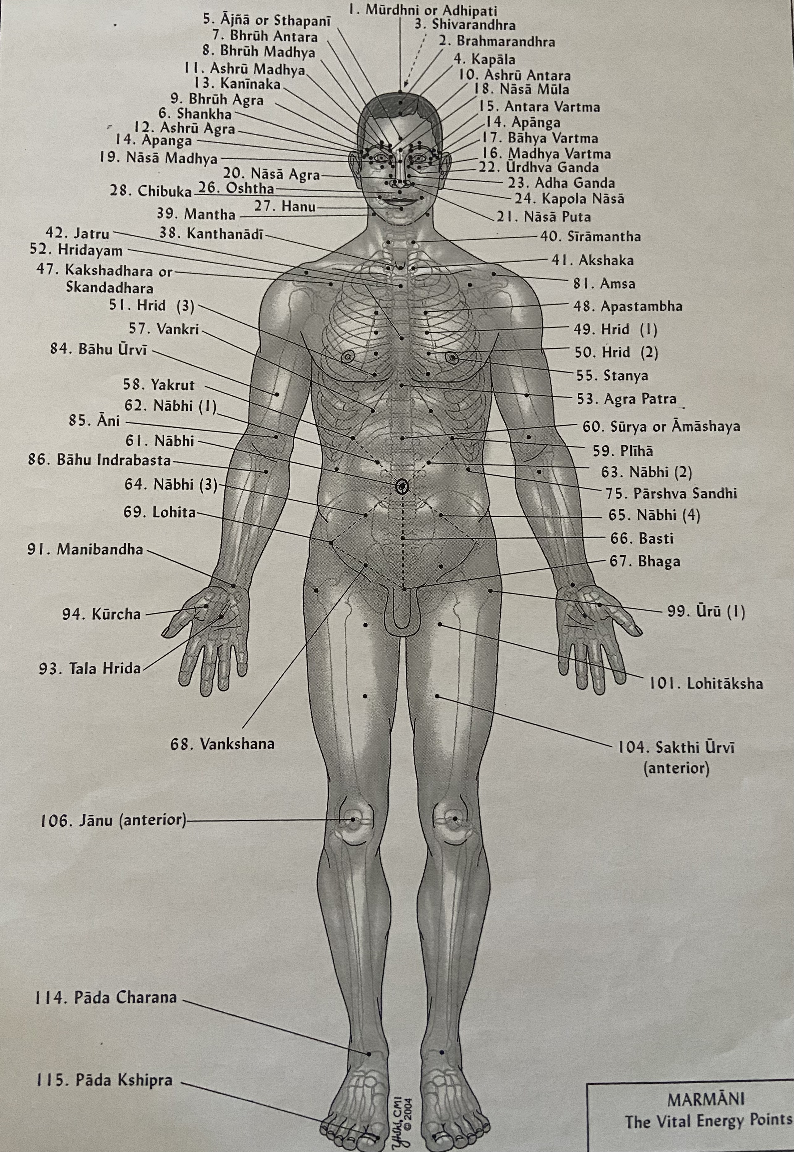 Photo du masseur Michel