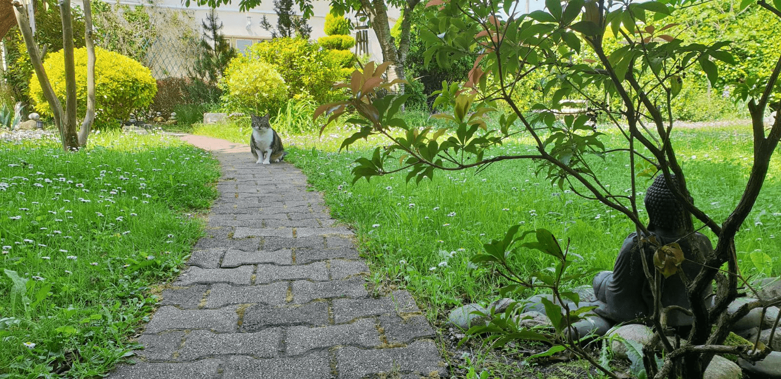 LE JARDIN DE LA MAISON